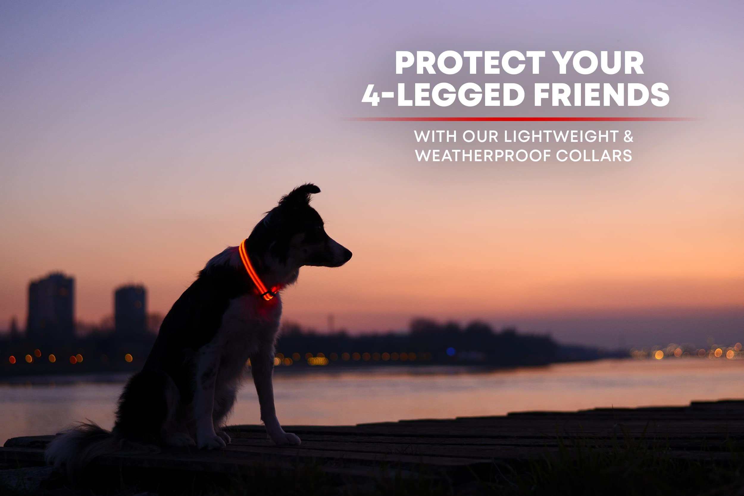Illumiseen LED Dog Collar - USB Rechargeable, Adjustable Nylon, Ruby Red X-Small for Small Dogs