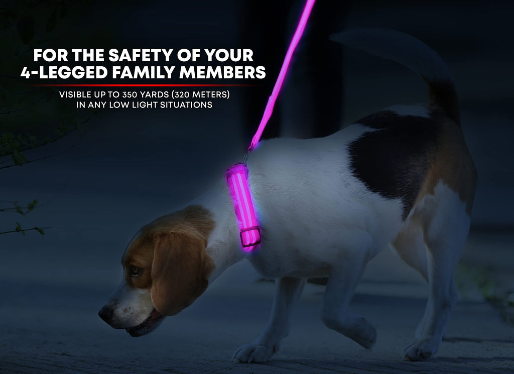 Illumiseen LED Dog Collar - USB Rechargeable, Bright, Weatherproof Nylon Collar for Night Walks (Pink, Medium)