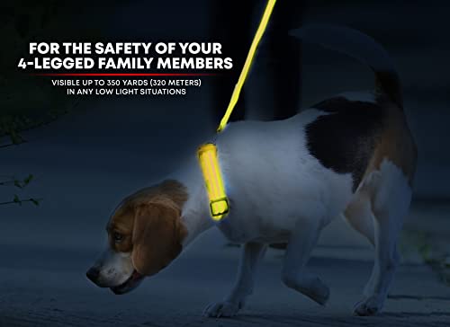 Illumiseen LED Dog Collar USB Rechargeable - Sunburst Yellow Small, Weatherproof for Night Walks