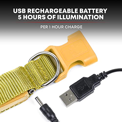 Illumiseen LED Dog Collar USB Rechargeable - Sunburst Yellow Small, Weatherproof for Night Walks