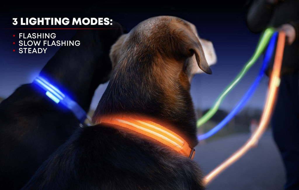 Illumiseen LED Dog Collar USB Rechargeable - Sunburst Yellow Small, Weatherproof for Night Walks