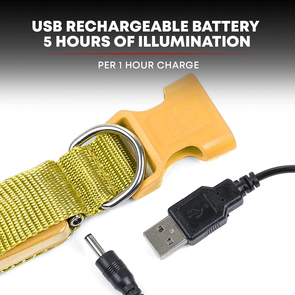 Illumiseen LED Dog Collar USB Rechargeable - Sunburst Yellow Small, Weatherproof for Night Walks