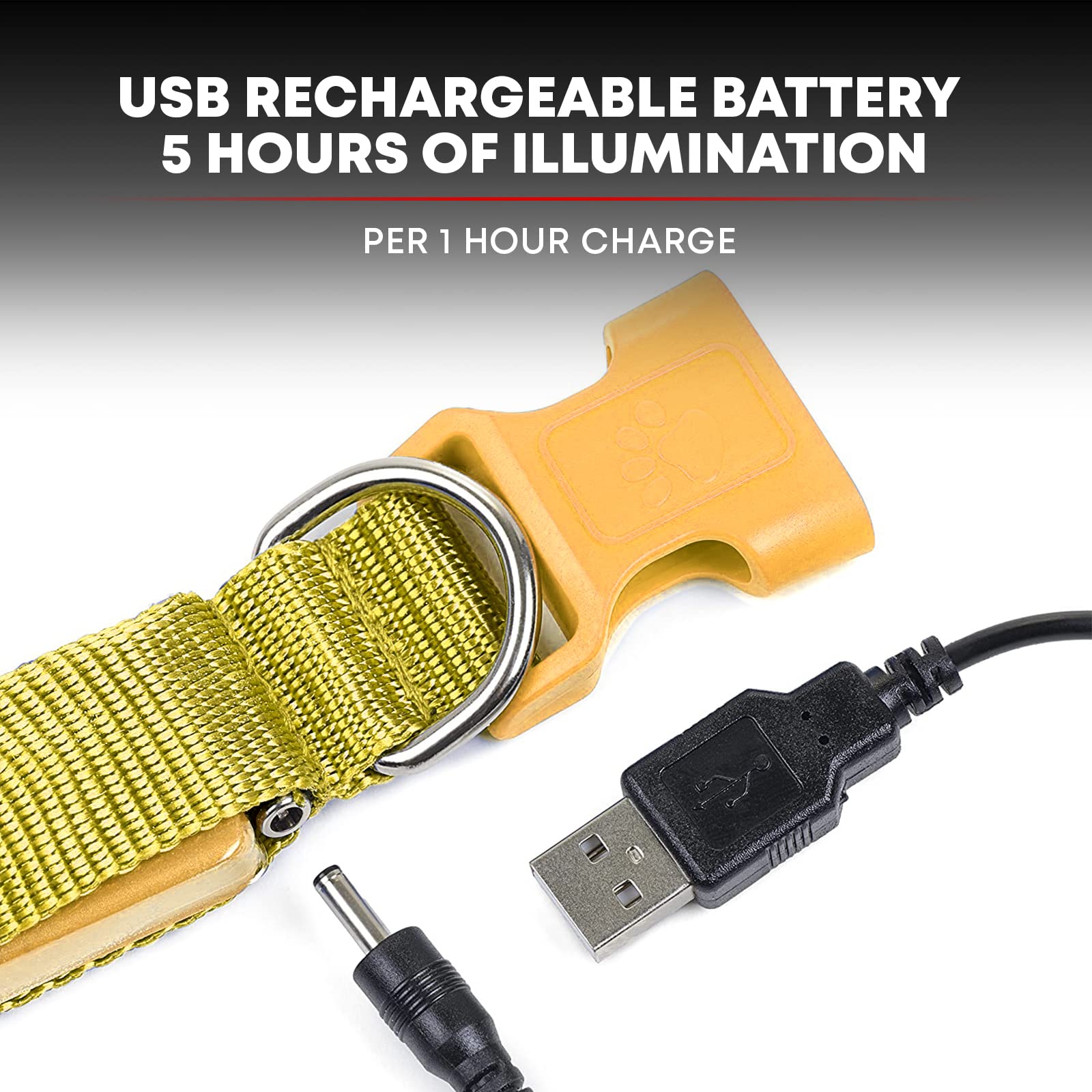 Illumiseen LED Dog Collar USB Rechargeable - Sunburst Yellow Small, Weatherproof for Night Walks