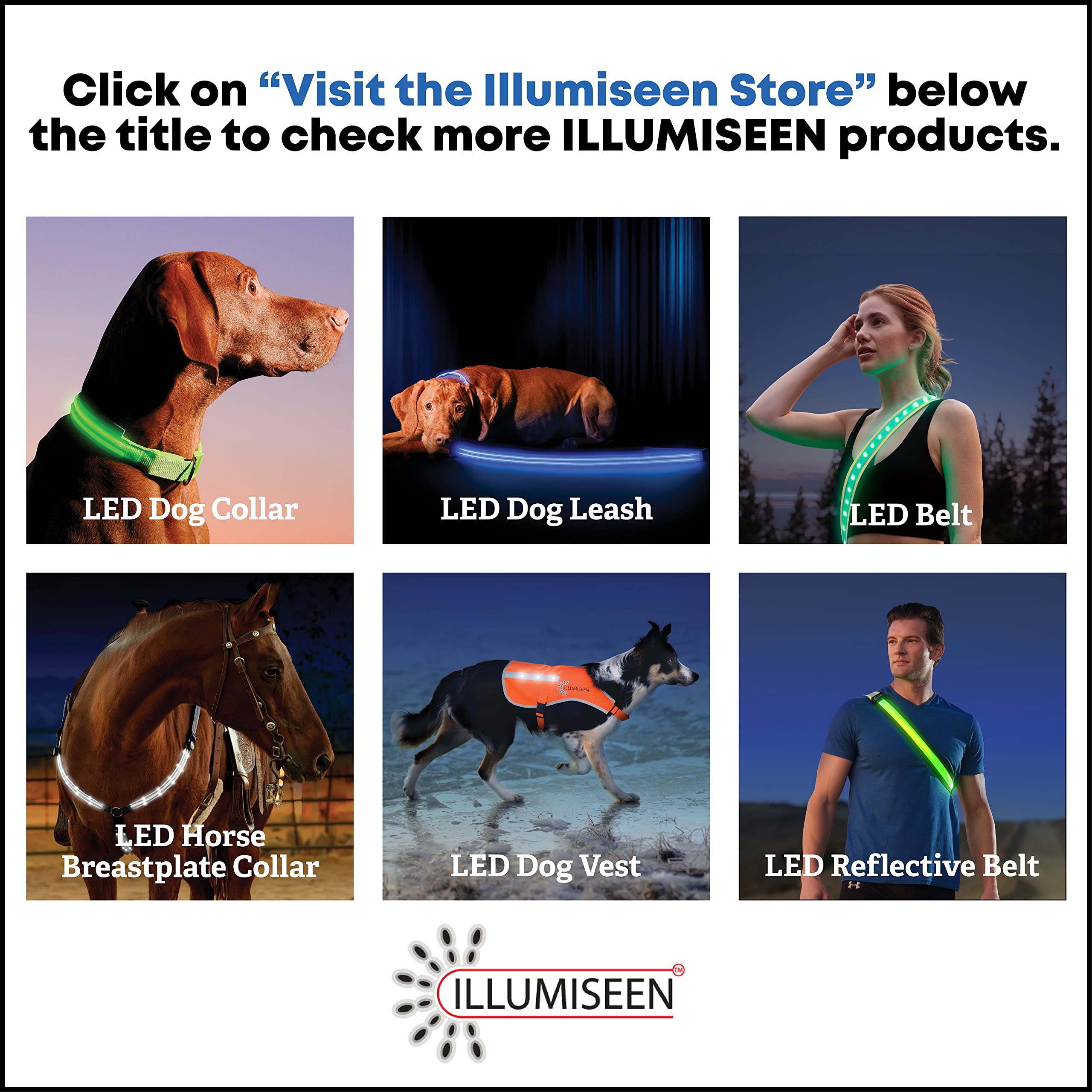 Illumiseen LED Dog Collar USB Rechargeable - Sunburst Yellow Small, Weatherproof for Night Walks