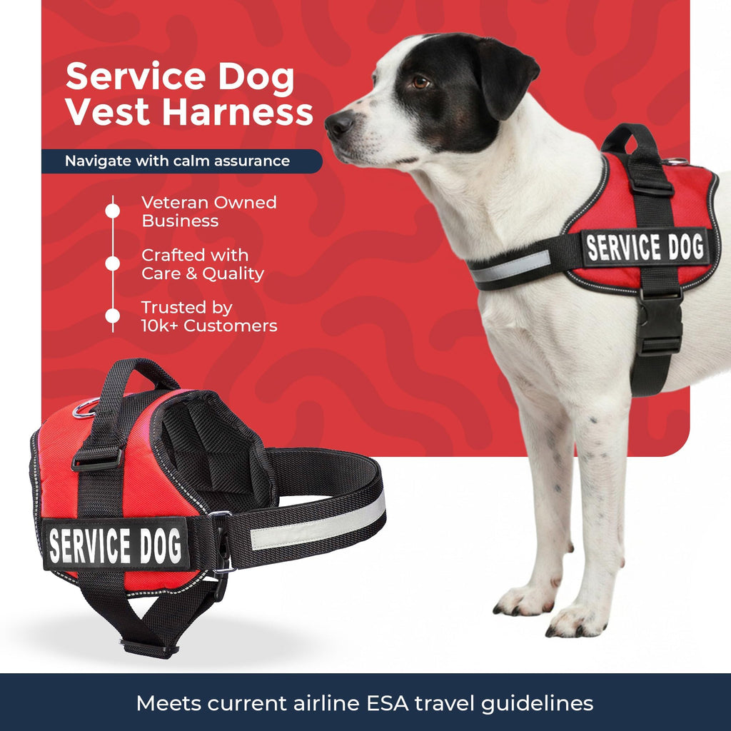 Industrial Puppy Medium Service Dog Vest Harness - Bright Red, Reflective, with Patches & 50 ADA Cards