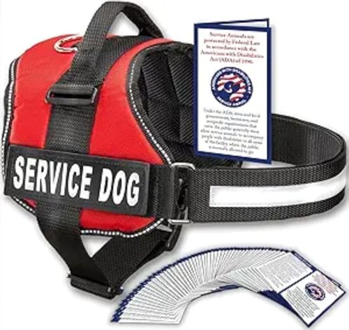 vimg::0