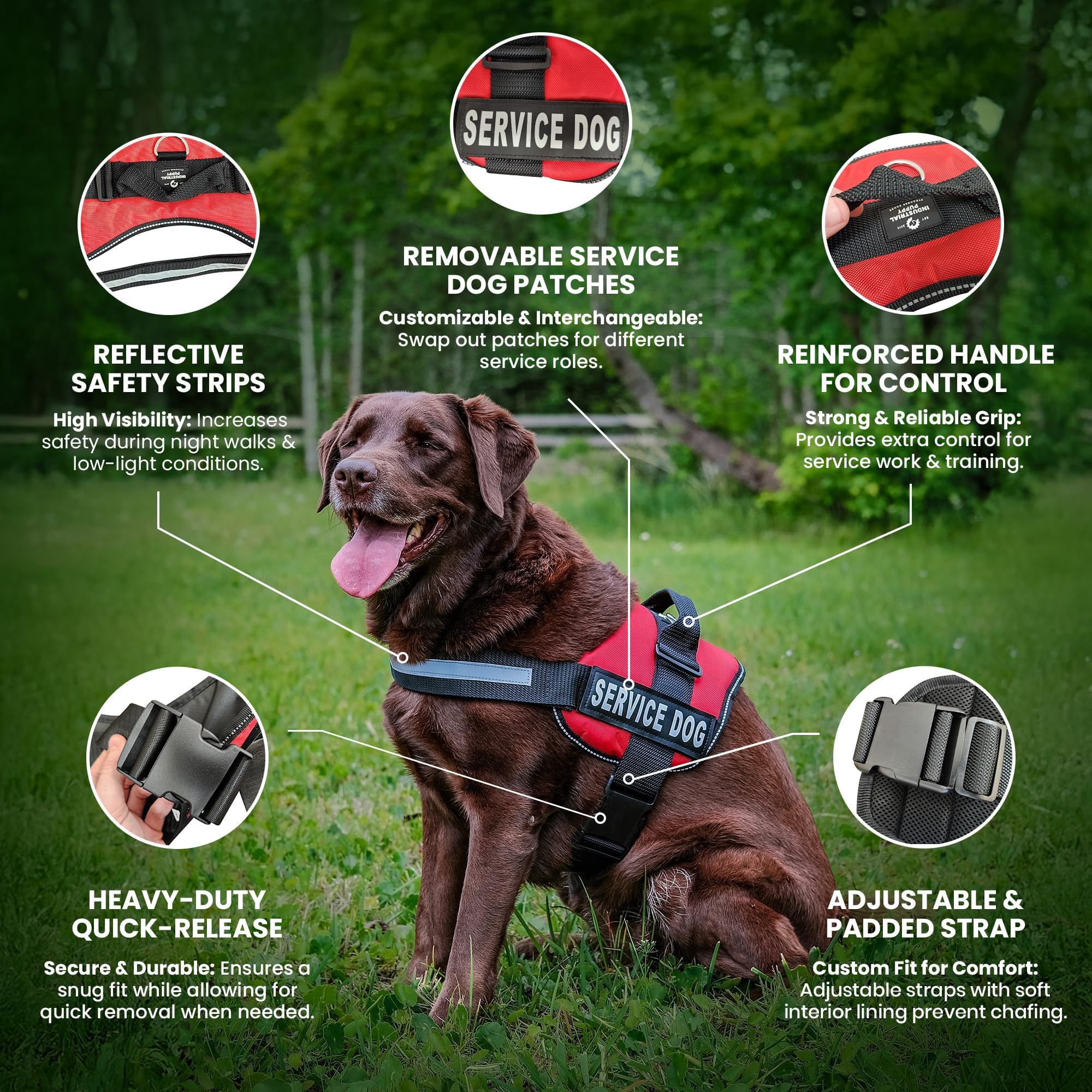 Industrial Puppy Service Dog Vest Harness - Bright Red, XL (Fits 30-39 inch Girth) with Reflective Straps, Removable Patches, Handle & 50 ADA Cards