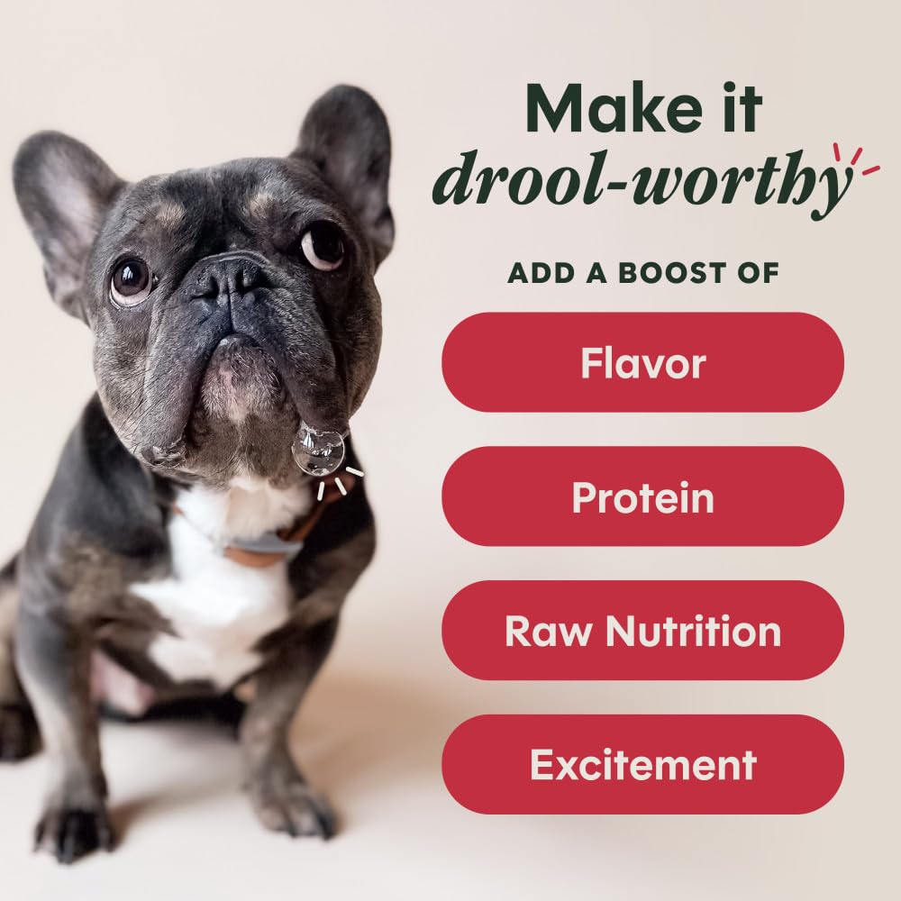 Instinct RawBoost Shakers Beef Freeze-Dried Dog Food Topper – 5.5 oz