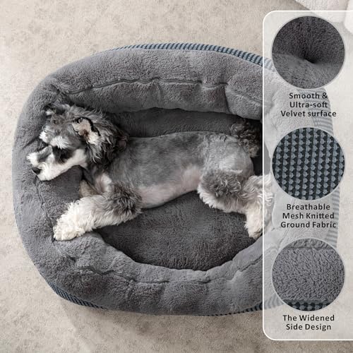 INVENHO Small Dog Bed 20x19x6 Inches - Orthopedic Raised Sides, Washable, Anti-Slip Bottom for Small Dogs & Cats