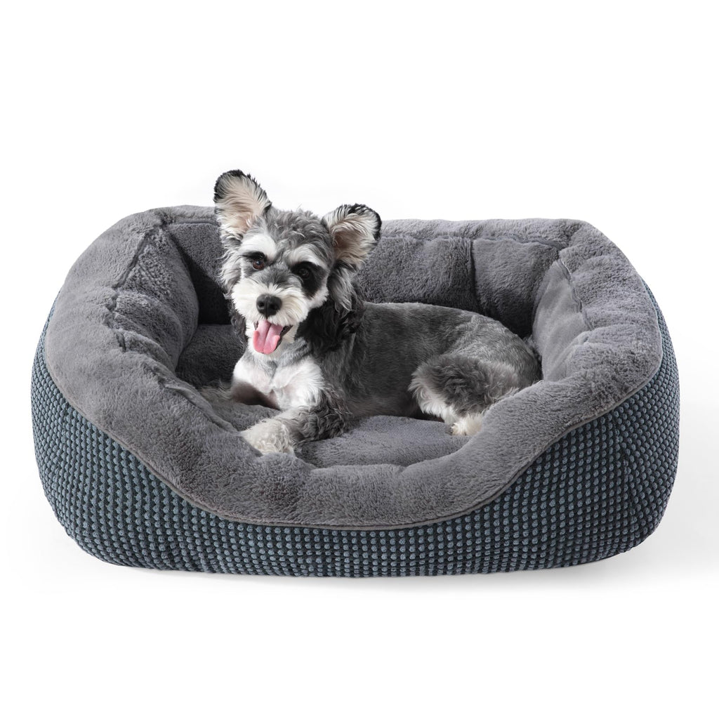 INVENHO Small Dog Bed 20x19x6 Inches - Orthopedic Raised Sides, Washable, Anti-Slip Bottom for Small Dogs & Cats