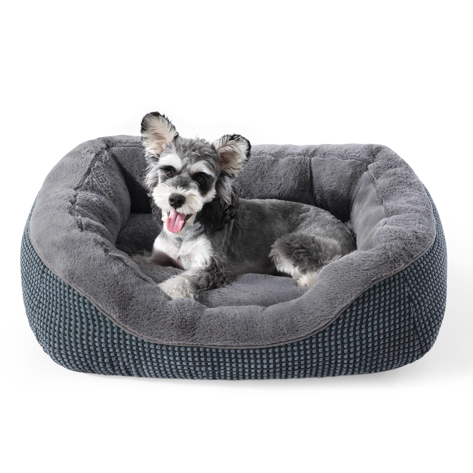INVENHO Small Dog Bed 20x19x6 Inches - Orthopedic Raised Sides, Washable, Anti-Slip Bottom for Small Dogs & Cats