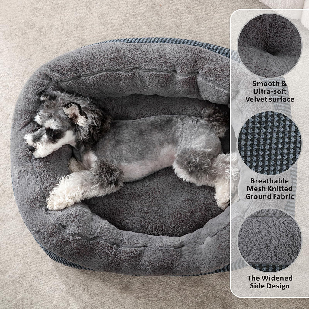 INVENHO Small Dog Bed 20x19x6 Inches - Orthopedic Raised Sides, Washable, Anti-Slip Bottom for Small Dogs & Cats