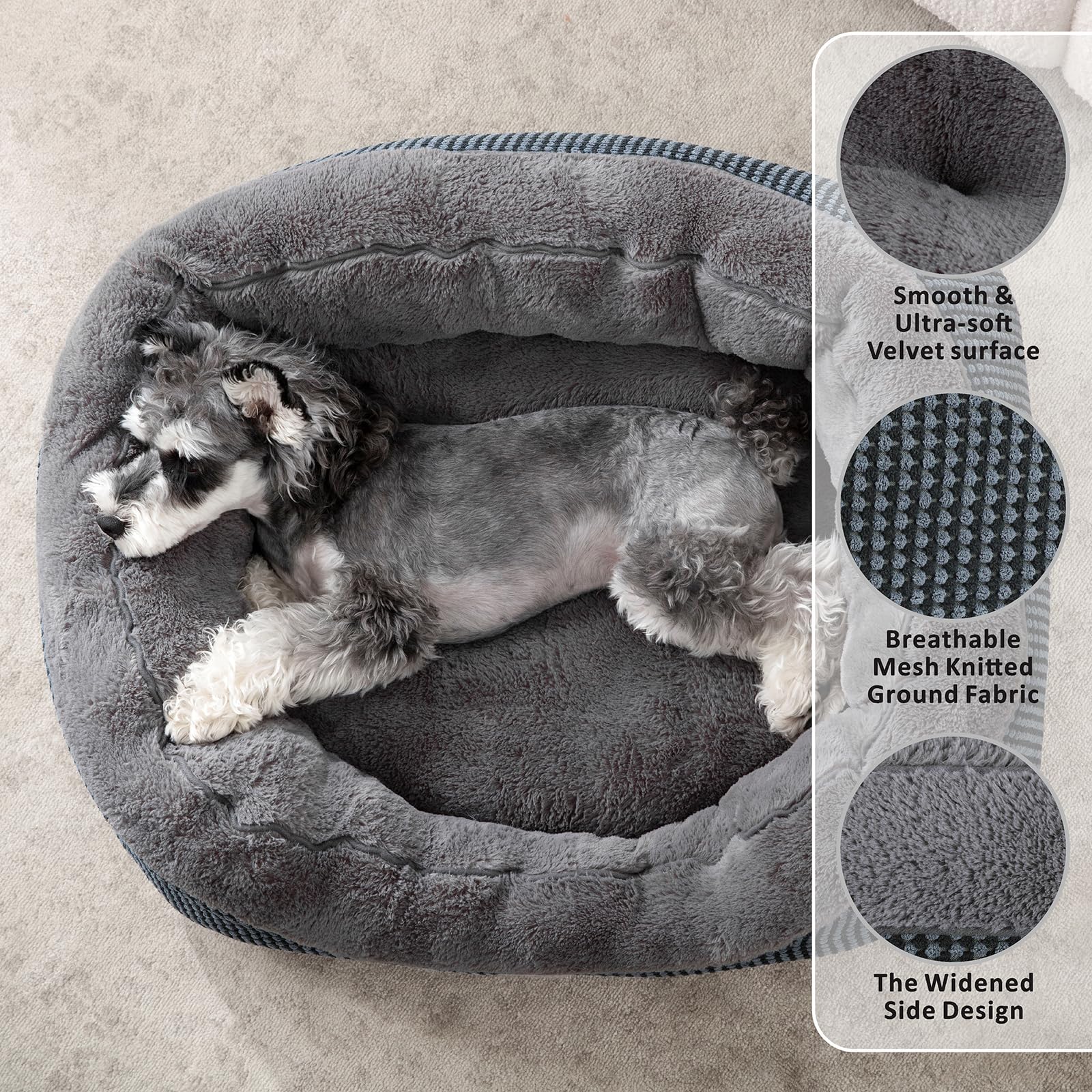 INVENHO Small Dog Bed 20x19x6 Inches - Orthopedic Raised Sides, Washable, Anti-Slip Bottom for Small Dogs & Cats