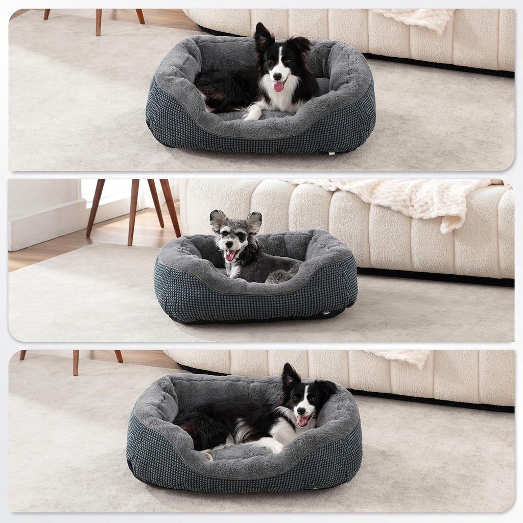 INVENHO Small Dog Bed 20x19x6 Inches - Orthopedic Raised Sides, Washable, Anti-Slip Bottom for Small Dogs & Cats