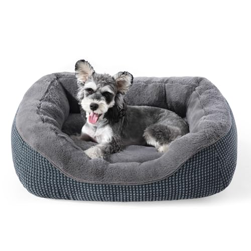 INVENHO Small Dog Bed 20x19x6 Inches - Orthopedic Raised Sides, Washable, Anti-Slip Bottom for Small Dogs & Cats