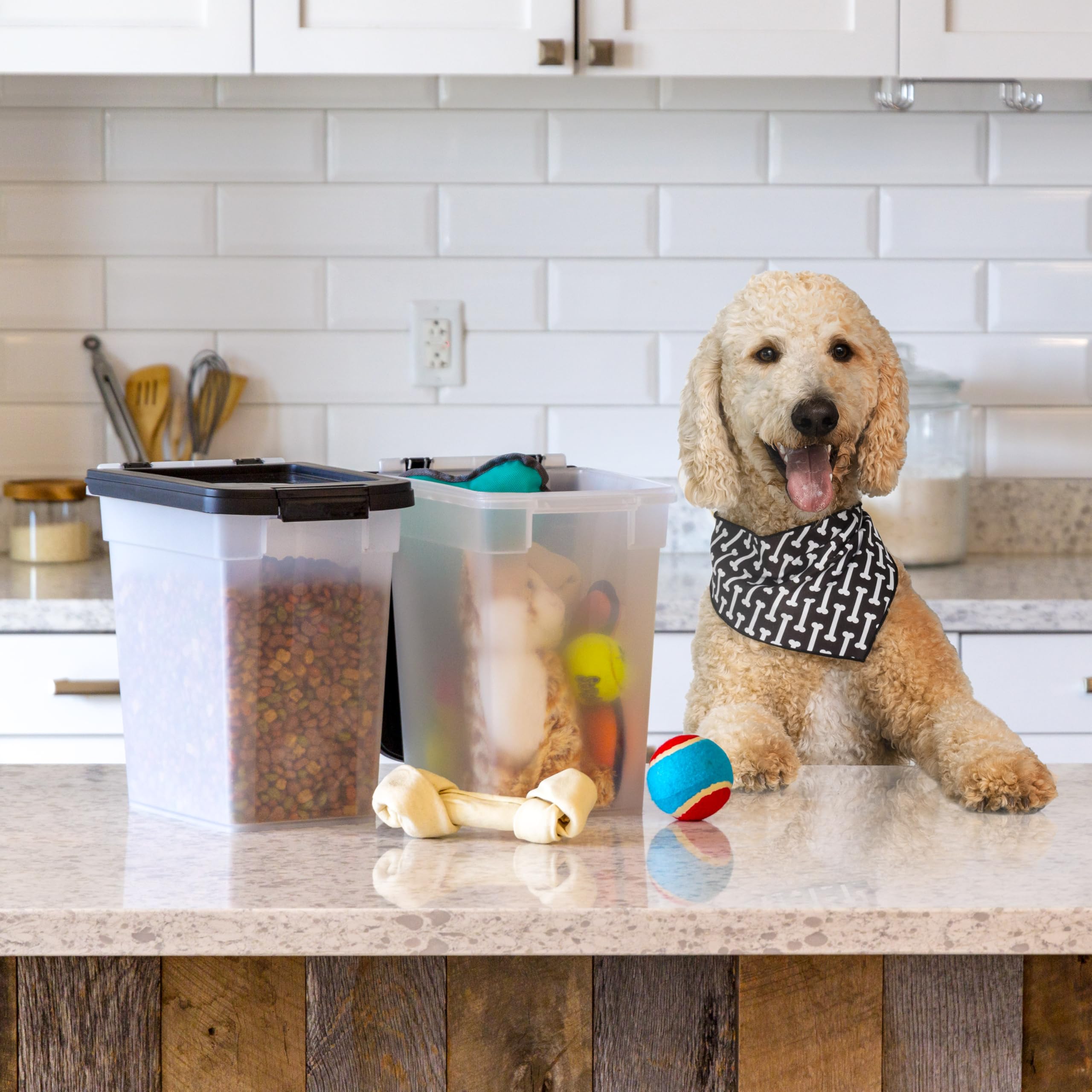 IRIS USA Airtight Pet Food Storage Container 2 Pack – 12.75 Qt Each, Holds Up to 10 lbs, BPA Free, Clear/Black