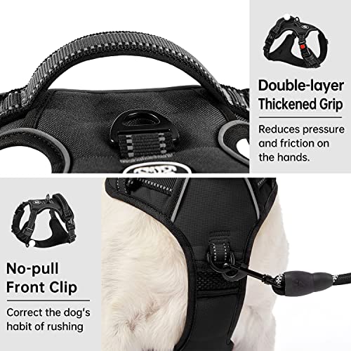 IVY&LANE No Pull Dog Harness for Small Dogs – Black, Size S with Leash & Safety Belt