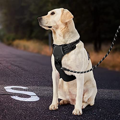 IVY&LANE No Pull Dog Harness for Small Dogs – Black, Size S with Leash & Safety Belt