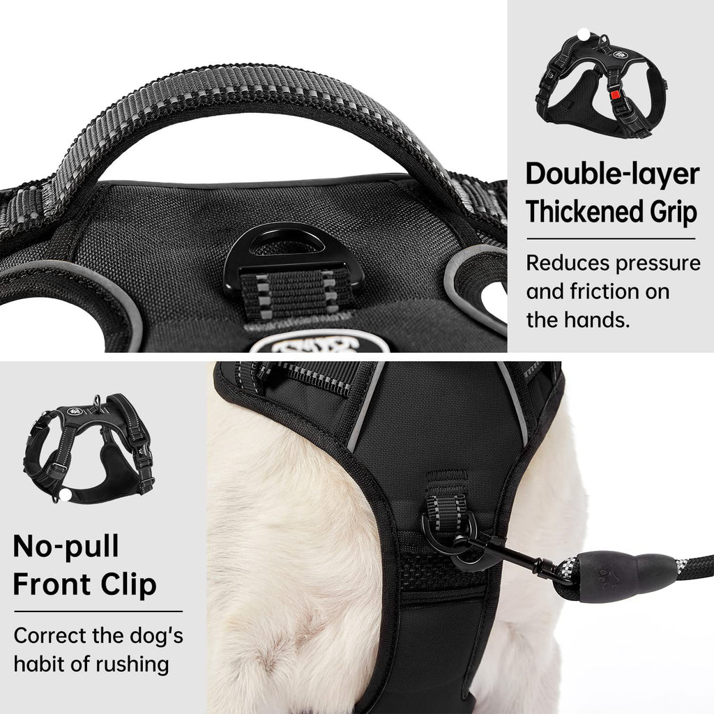 IVY&LANE No Pull Dog Harness for Small Dogs – Black, Size S with Leash & Safety Belt