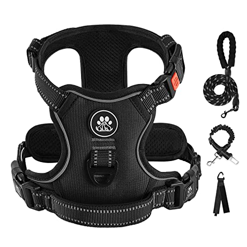 IVY&LANE No Pull Dog Harness for Small Dogs – Black, Size S with Leash & Safety Belt