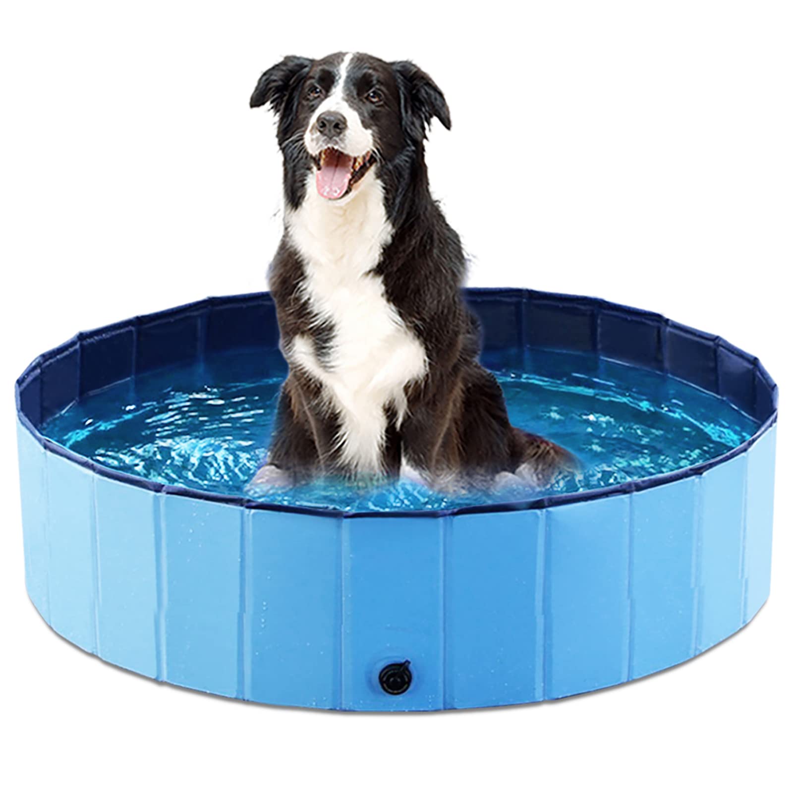 Jasonwell Foldable Dog Pool - 32 Inch Round Collapsible Hard Plastic Pool for Dogs, Kids, and Cats - Portable Wading Pool with Drain and Hose Connector