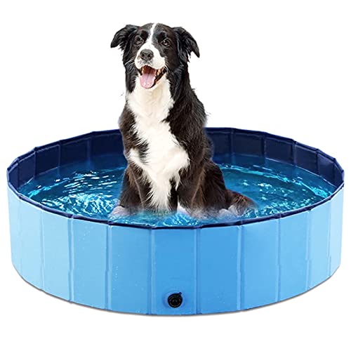 Jasonwell Foldable Dog Pool - 32 Inch Round Collapsible Hard Plastic Pool for Dogs, Kids, and Cats - Portable Wading Pool with Drain and Hose Connector