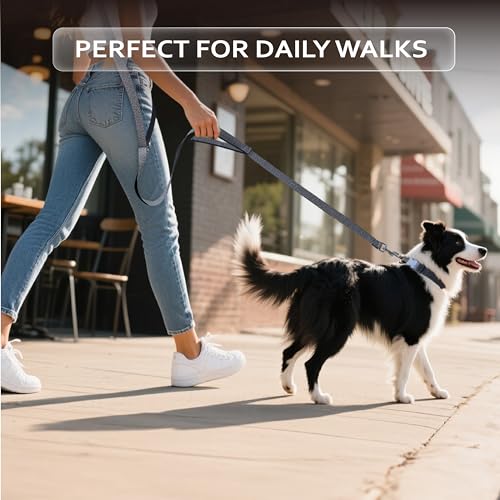 JC HOUSE Hands Free Dog Leash: Galaxy Reflective, Adjustable 6–9.5 ft, Heavy Duty for Medium & Large Dogs up to 110 lbs – Black