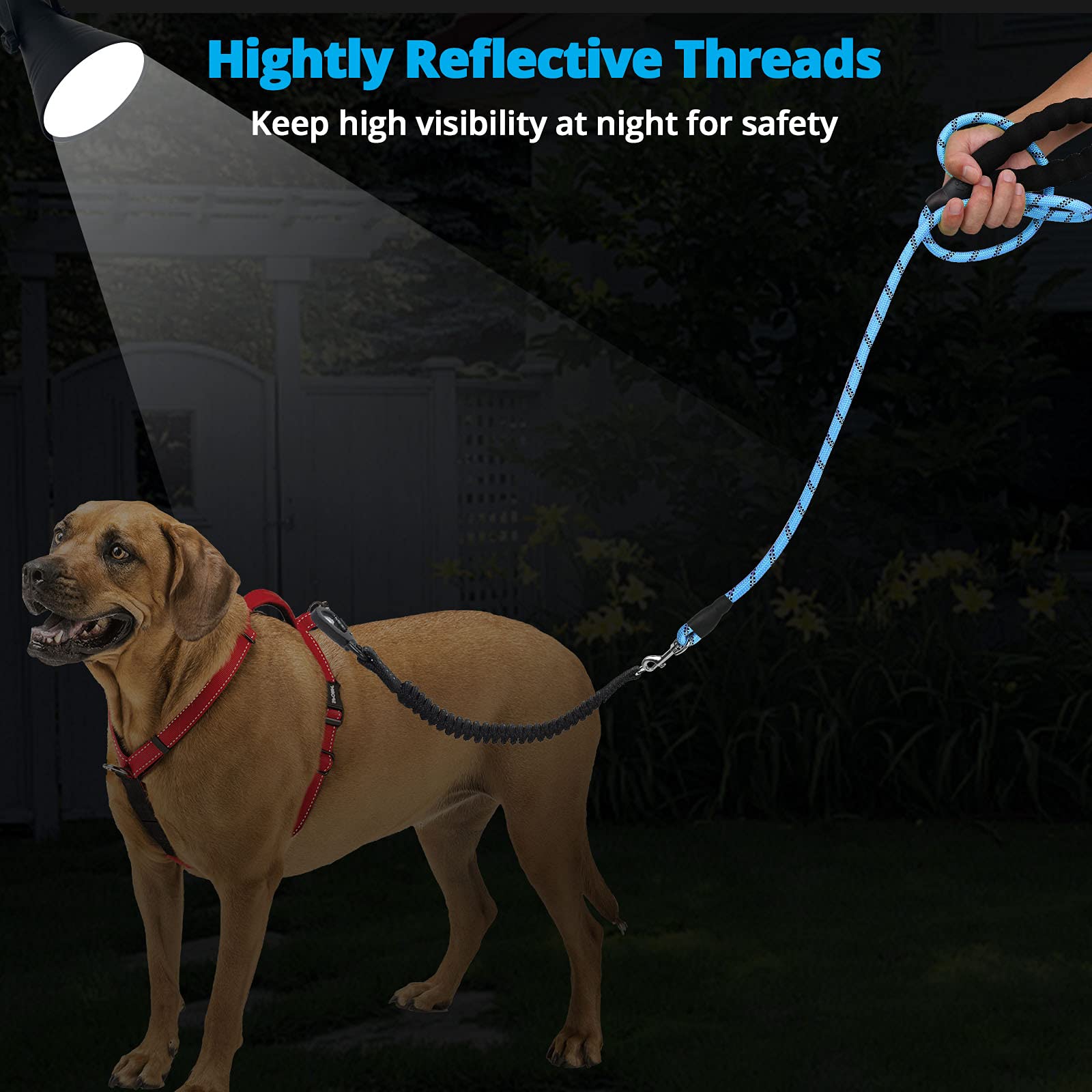 jenico 15ft Heavy Duty Dog Leash with Reflective Bungee & Swivel Hook - Blue