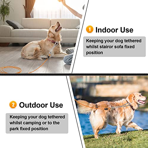 jenico 20FT Dog Tie Out Cable with Heavy Duty Locking Carabiner and 360° Swivel Hook for Small to Medium Pets Up to 500 LBS