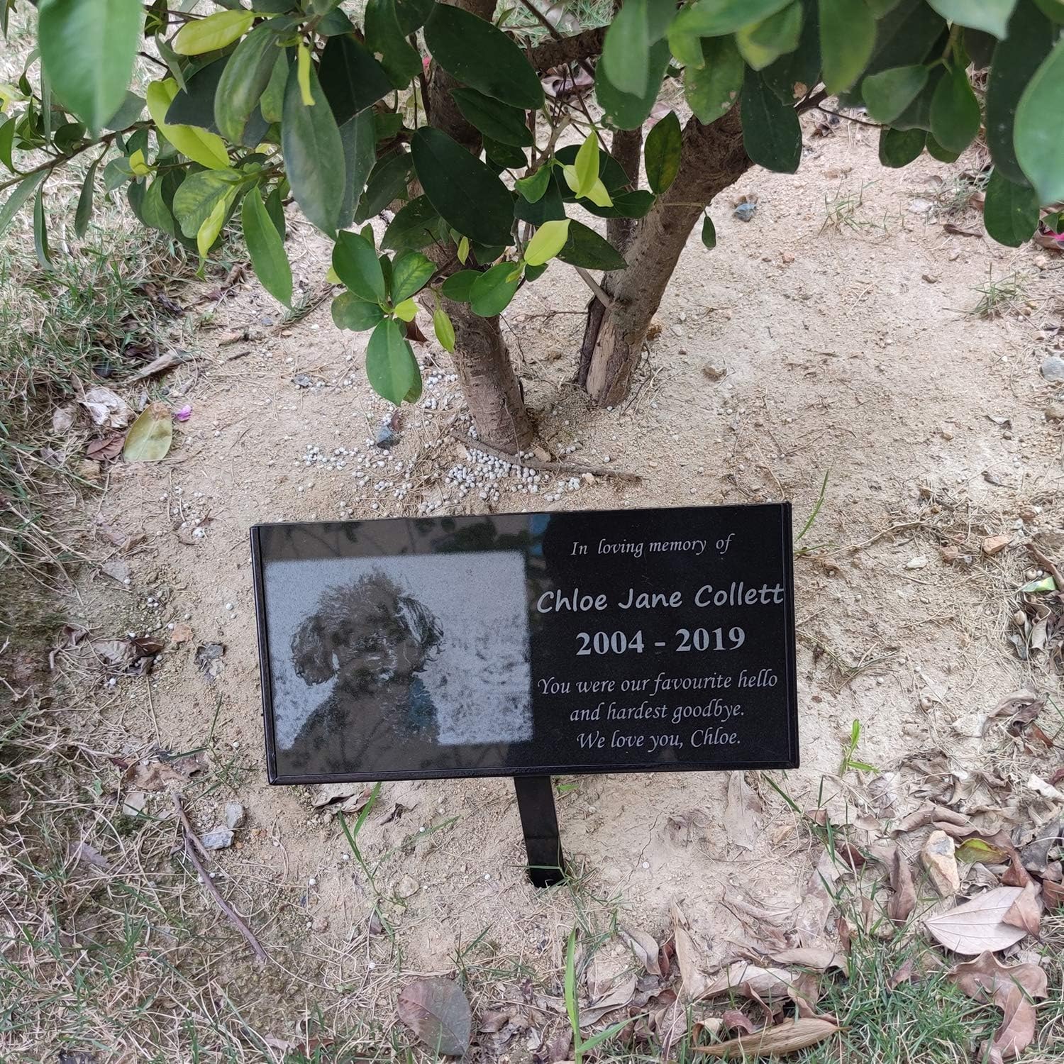JFHEDY Grave Marker Stand for 8x4 Inch Memorial Stones – Black Powder Coated Steel Display