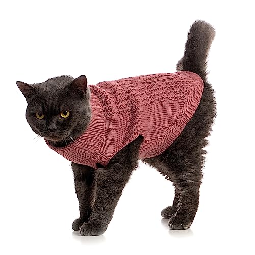 Jnancun Stretchy Cat Sweater - Maple Leaf Red, Medium - 17 Colors, 6 Sizes