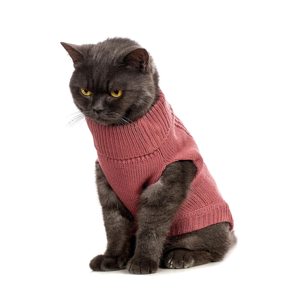 Jnancun Stretchy Cat Sweater - Maple Leaf Red, Medium - 17 Colors, 6 Sizes