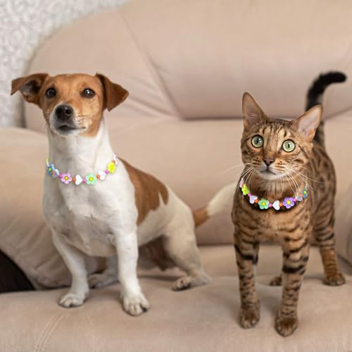 JOGIA Handmade Floral Beaded Dog Collar – Lightweight Adjustable for Small to Large Dogs
