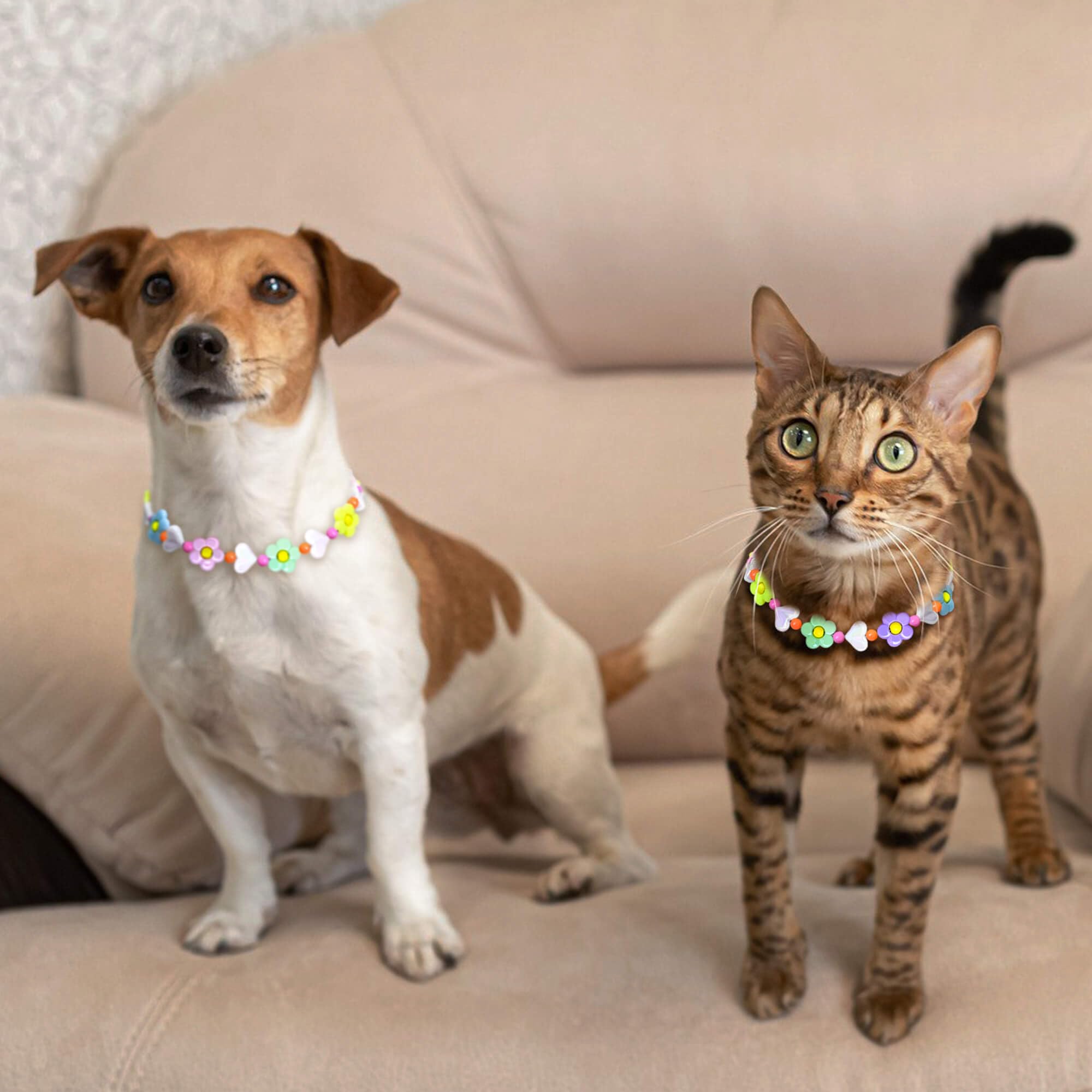 JOGIA Handmade Floral Beaded Dog Collar – Lightweight Adjustable for Small to Large Dogs