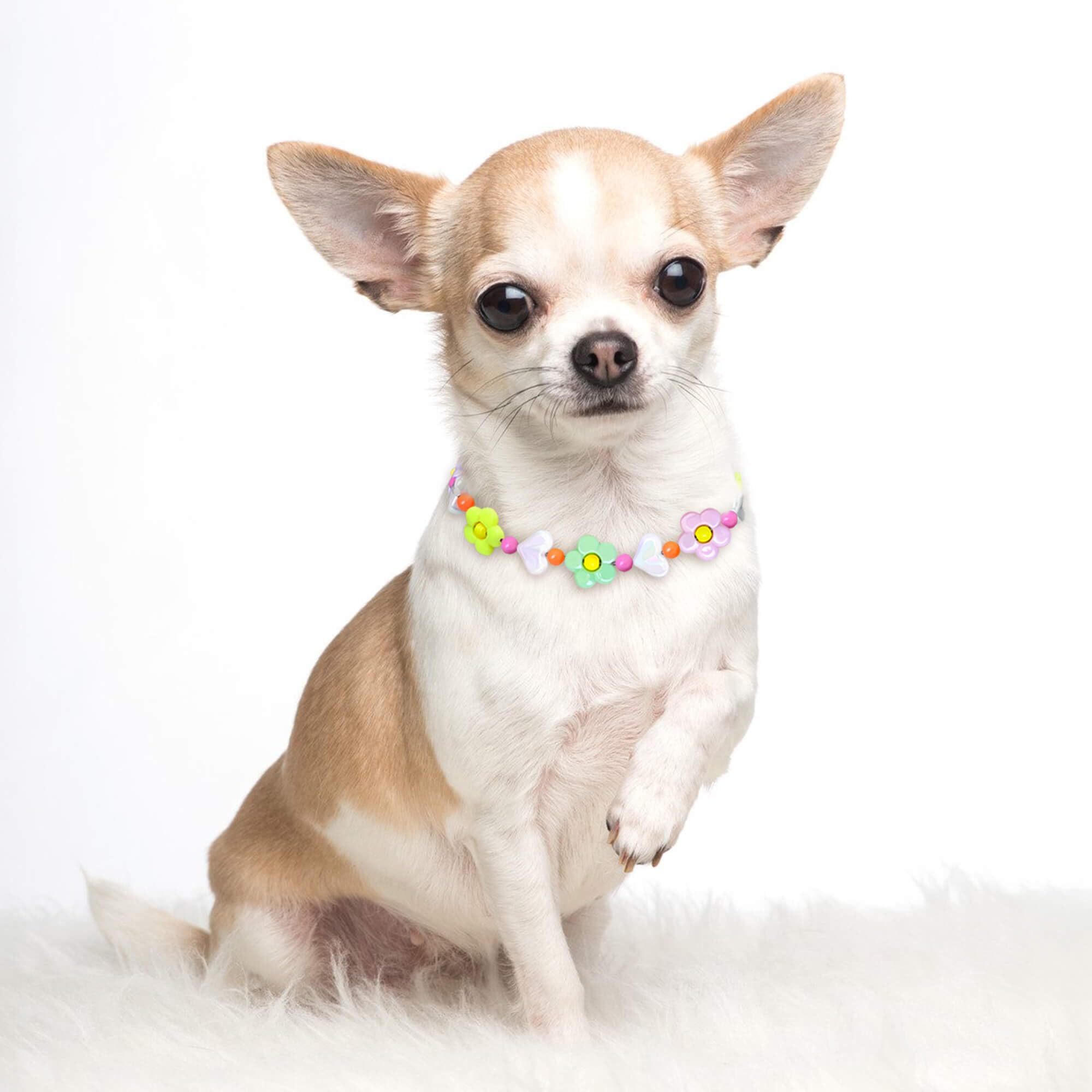 JOGIA Handmade Floral Beaded Dog Collar – Lightweight Adjustable for Small to Large Dogs