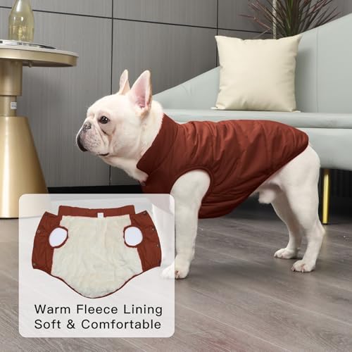 JoyDaog Fleece Lined Dog Coat for Small Dogs, Windproof Winter Jacket (Brown, XS)