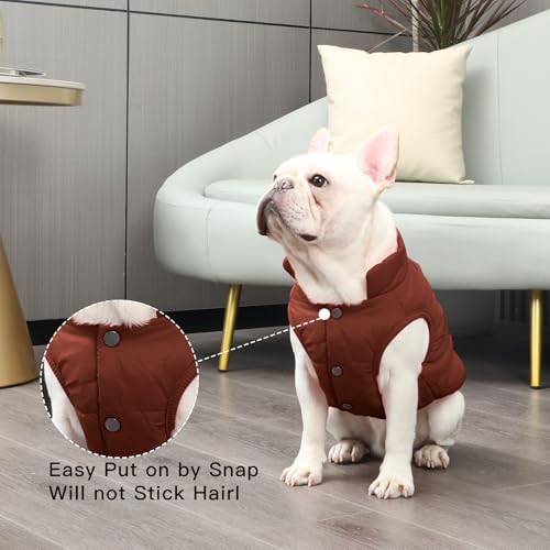 JoyDaog Fleece Lined Dog Coat for Small Dogs, Windproof Winter Jacket (Brown, XS)