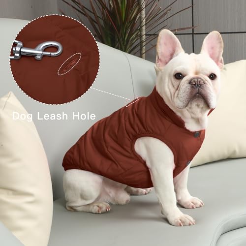 JoyDaog Fleece Lined Dog Coat for Small Dogs, Windproof Winter Jacket (Brown, XS)