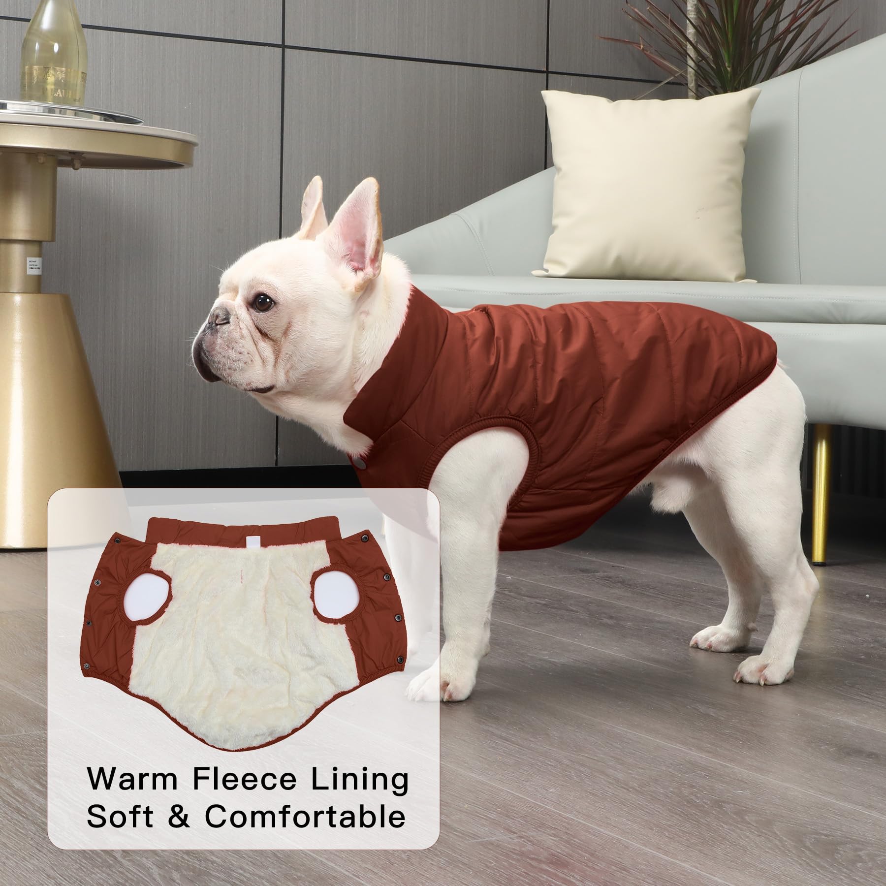 JoyDaog Fleece Lined Dog Coat for Small Dogs, Windproof Winter Jacket (Brown, XS)