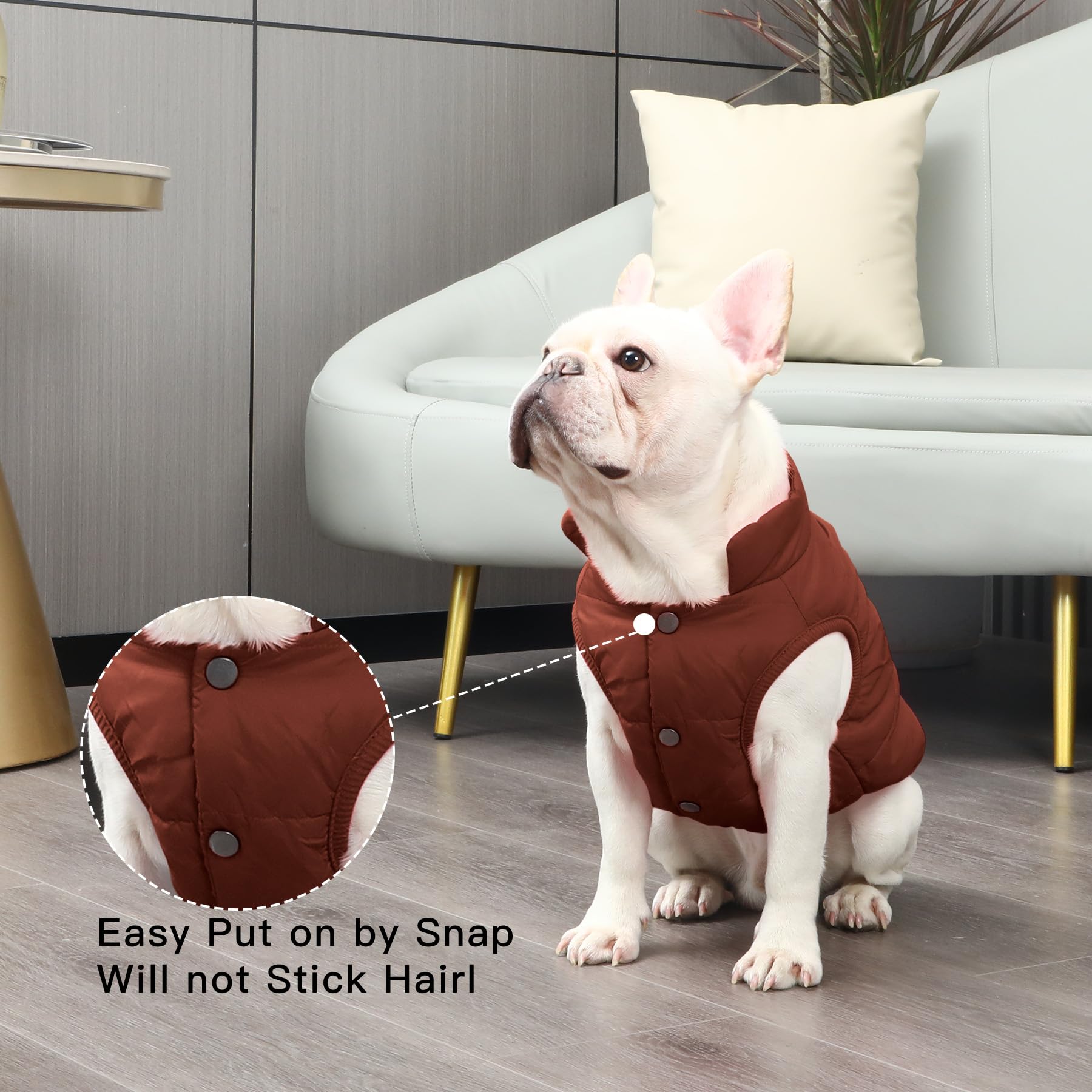 JoyDaog Fleece Lined Dog Coat for Small Dogs, Windproof Winter Jacket (Brown, XS)