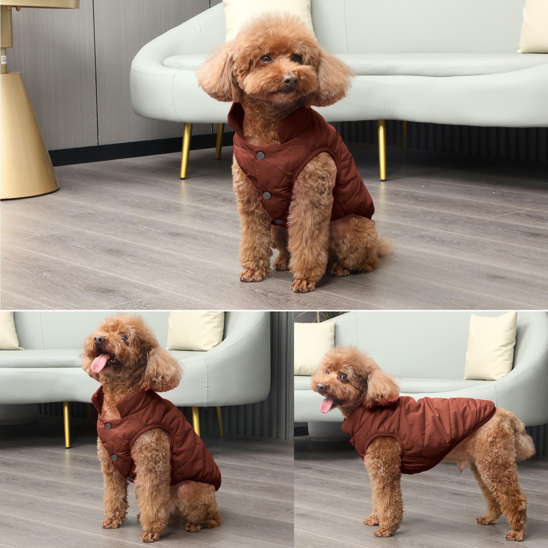 JoyDaog Fleece Lined Dog Coat for Small Dogs, Windproof Winter Jacket (Brown, XS)