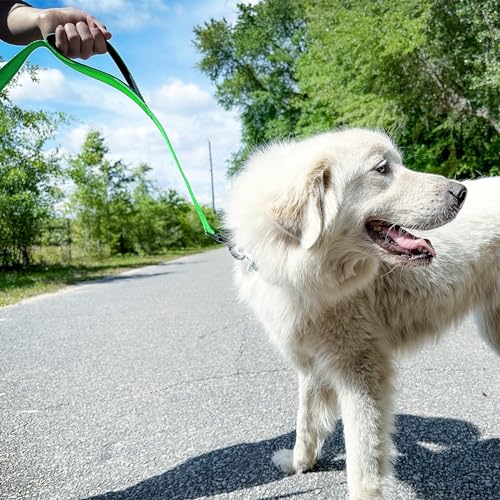Joytale Heavy Duty Dog Leash for Large Dogs That Pull – 6FT, Green, Double Handle & Double-Sided Reflective