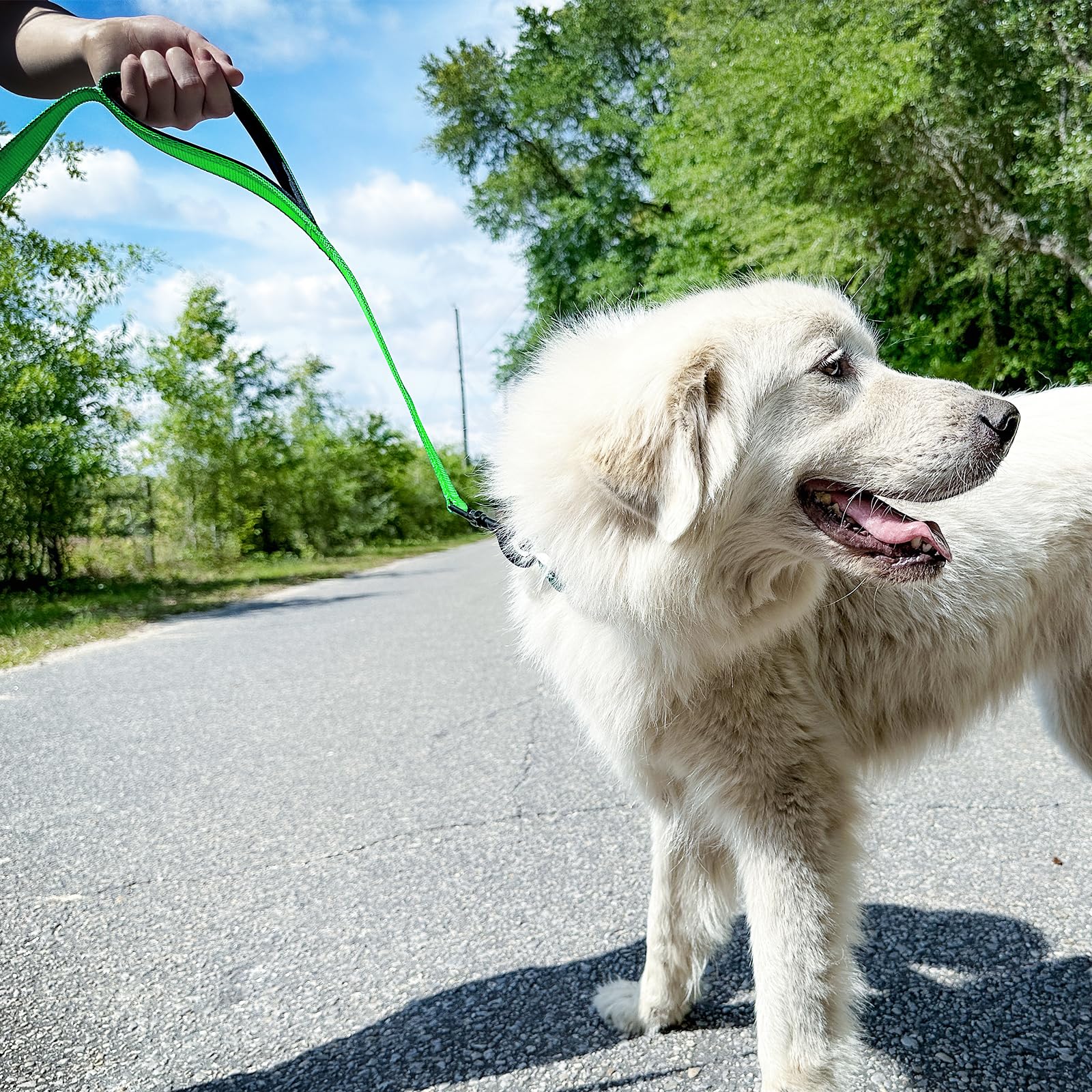 Joytale Heavy Duty Dog Leash for Large Dogs That Pull – 6FT, Green, Double Handle & Double-Sided Reflective