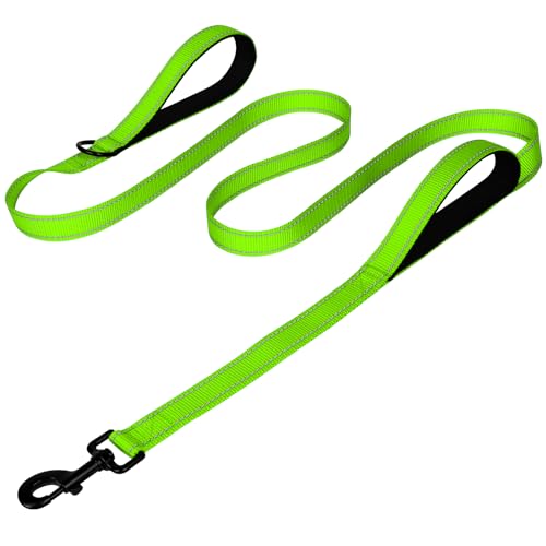 Joytale Heavy Duty Dog Leash for Large Dogs That Pull – 6FT, Green, Double Handle & Double-Sided Reflective
