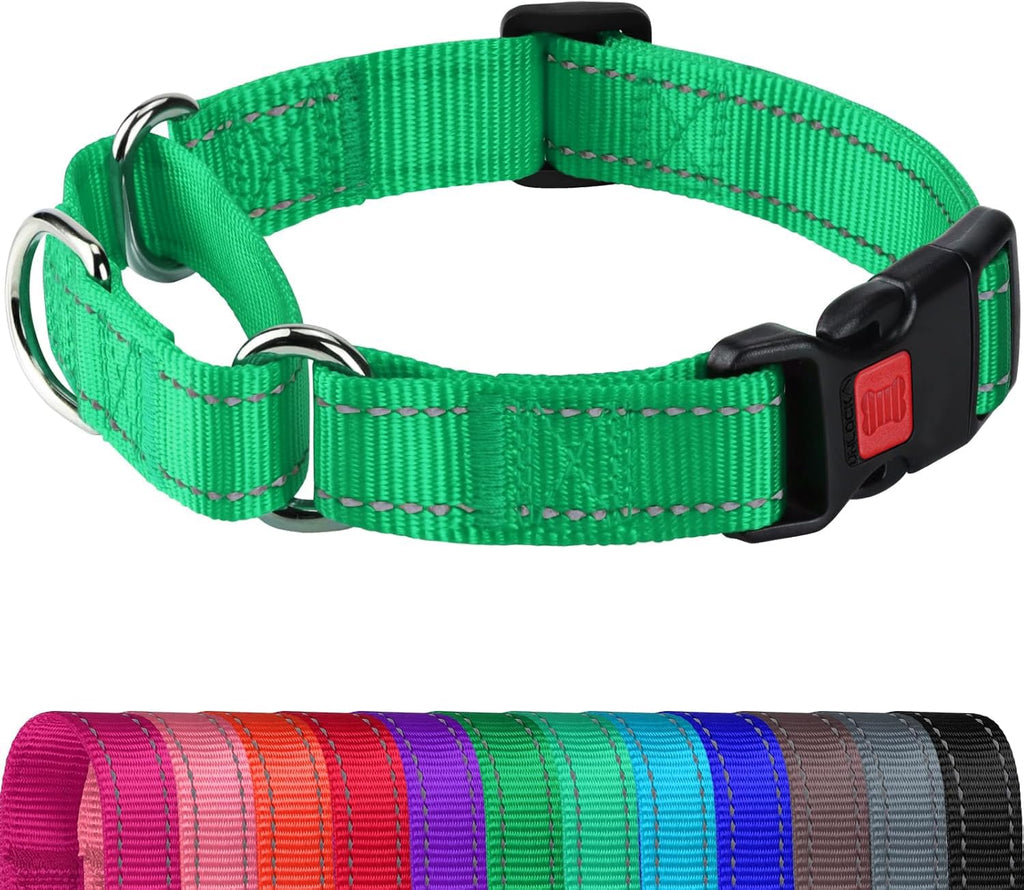 Joytale Martingale Collar, Green Medium – Reflective Escape-Proof Nylon Dog Collar with Safety Lock