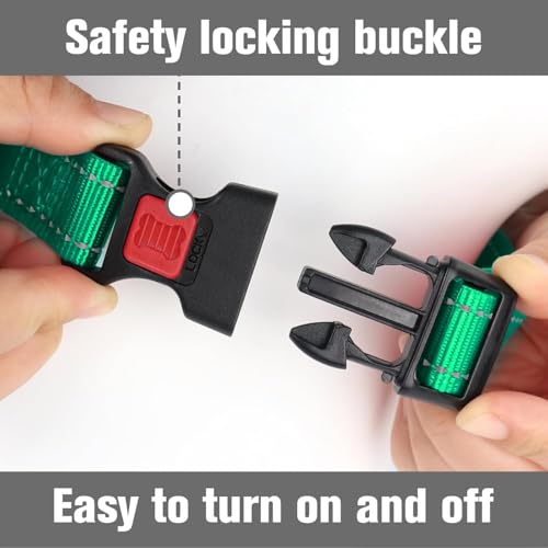 Joytale Martingale Collar, Green Medium – Reflective Escape-Proof Nylon Dog Collar with Safety Lock