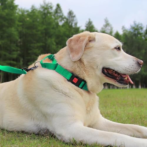 Joytale Martingale Collar, Green Medium – Reflective Escape-Proof Nylon Dog Collar with Safety Lock