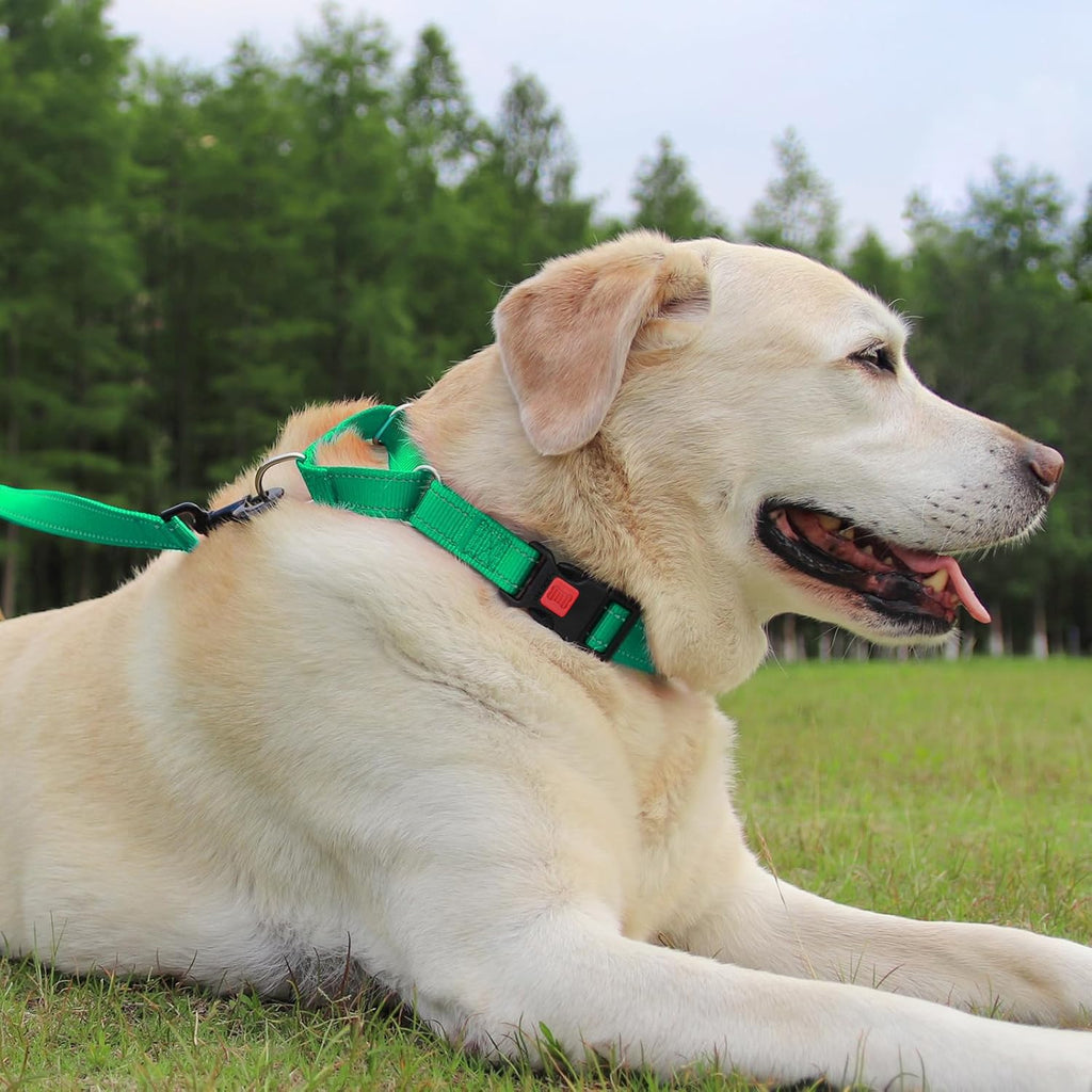 Joytale Martingale Collar, Green Medium – Reflective Escape-Proof Nylon Dog Collar with Safety Lock