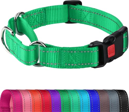Joytale Martingale Collar, Green Medium – Reflective Escape-Proof Nylon Dog Collar with Safety Lock