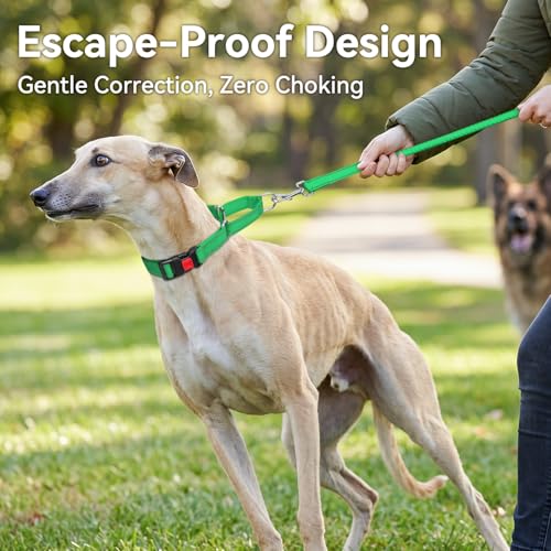 Joytale Martingale Collar, Green Medium – Reflective Escape-Proof Nylon Dog Collar with Safety Lock